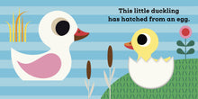 Load image into Gallery viewer, This Little Duckling: Touch and Feel Book (Boardbook)
