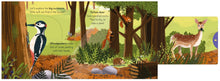 Load image into Gallery viewer, Big Outdoors for Little Explorers: Woods (Boardbook)
