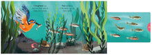 Load image into Gallery viewer, Big Outdoors for Little Explorers: River (Boardbook)
