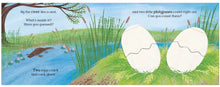 Load image into Gallery viewer, Eggs! : Lift the Flap (Boardbook)
