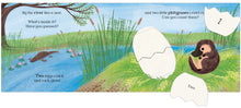 Load image into Gallery viewer, Eggs! : Lift the Flap (Boardbook)
