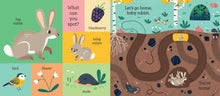 Load image into Gallery viewer, Let's Go Home, Baby Rabbit (Boardbook)
