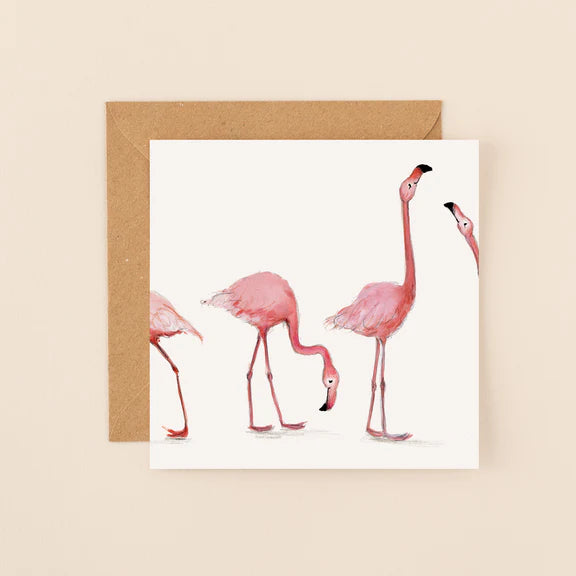 Flamingos blank card