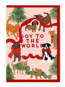 Charity pack of 5 Christmas cards - dogs and Christmas scarves