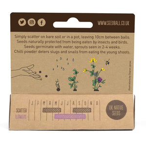 Seedball Bee Mix Hanging Pack
