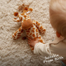 Load image into Gallery viewer, Raffi the Giraffe cuddly toy
