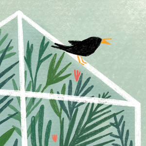 Greenhouse A4 Print