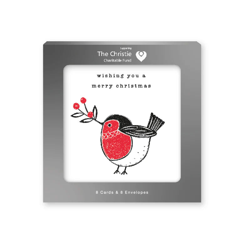 Pack of 8 Charity Christmas Cards - Robin