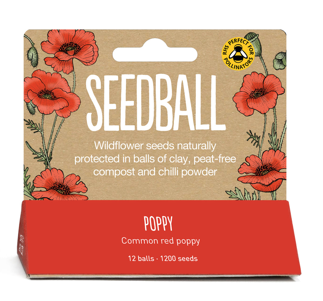 Seedball Poppy Hanging Pack