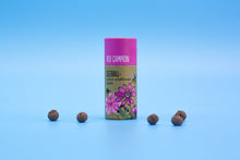 Load image into Gallery viewer, Seedball Red Campion Tube
