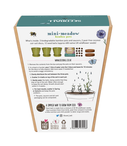 Seedball Mini-Meadow Bamboo Pots - Garden Meadow