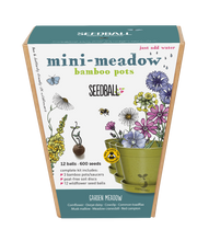 Load image into Gallery viewer, Seedball Mini-Meadow Bamboo Pots - Garden Meadow
