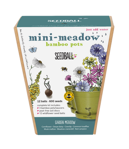 Seedball Mini-Meadow Bamboo Pots - Garden Meadow