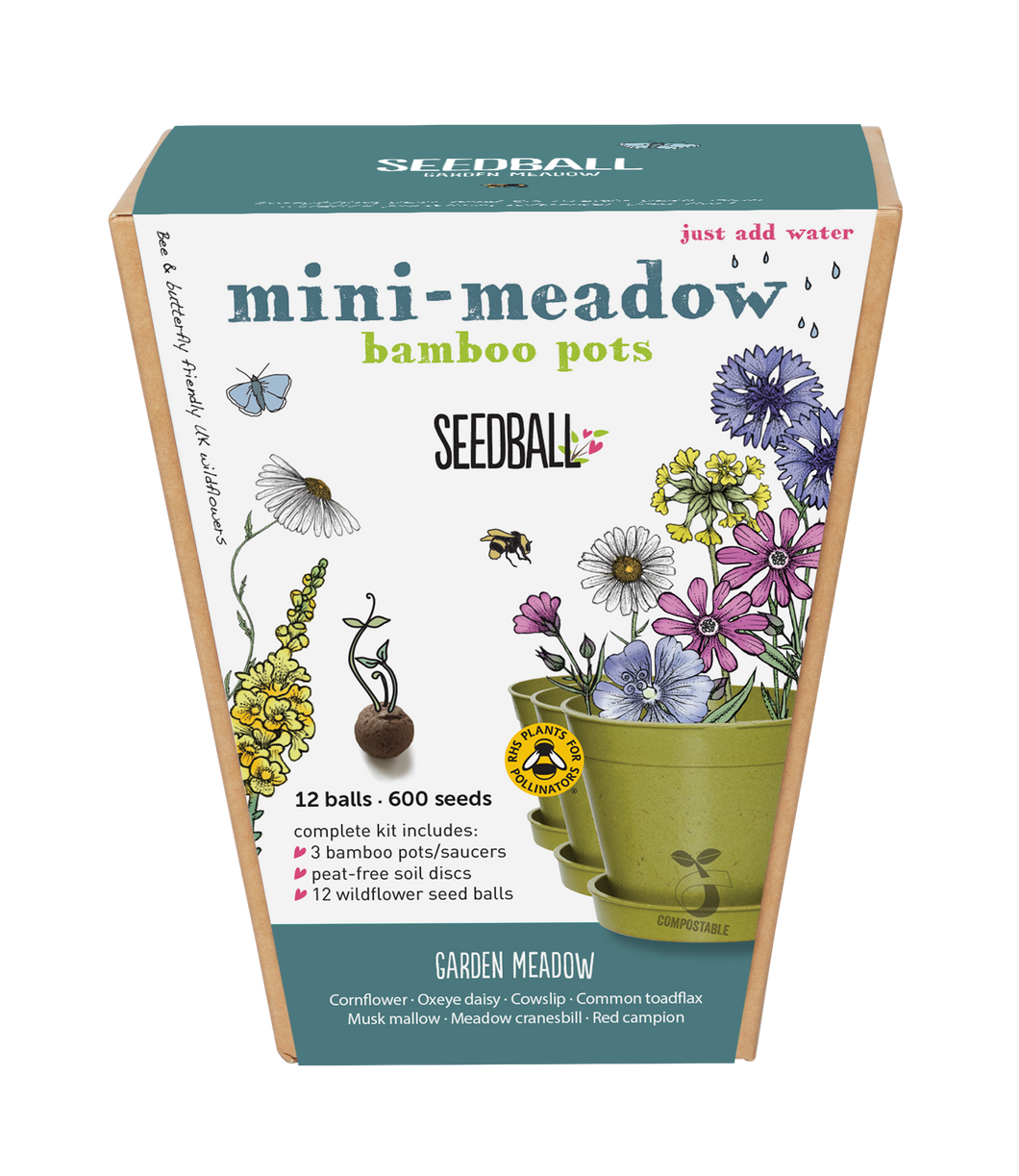 Seedball Mini-Meadow Bamboo Pots - Garden Meadow