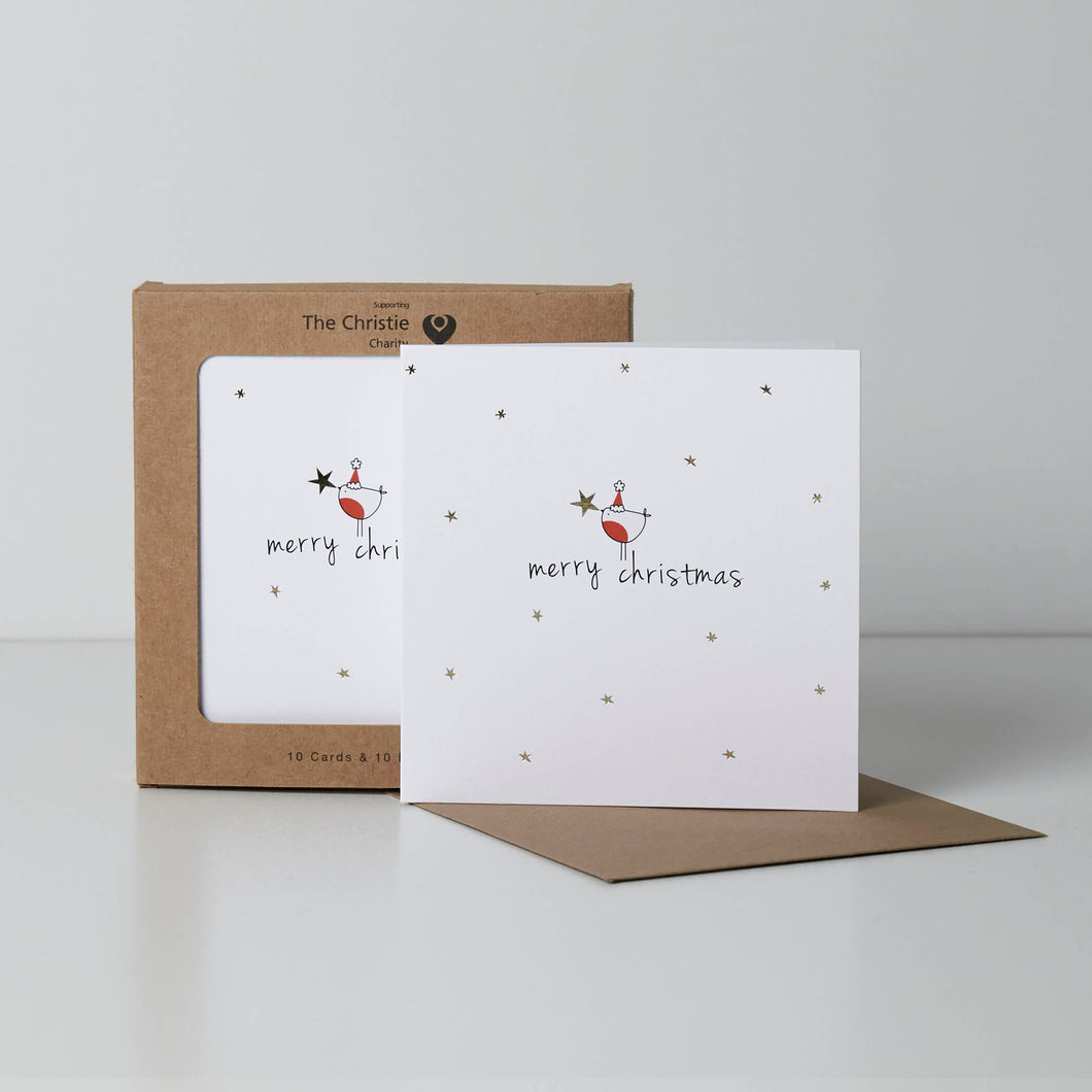 Christmas Card Pack of 10 - Robin Star