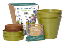 Load image into Gallery viewer, Seedball Mini-Meadow Bamboo Pots - Garden Meadow
