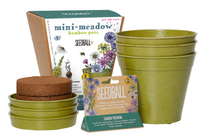Seedball Mini-Meadow Bamboo Pots - Garden Meadow