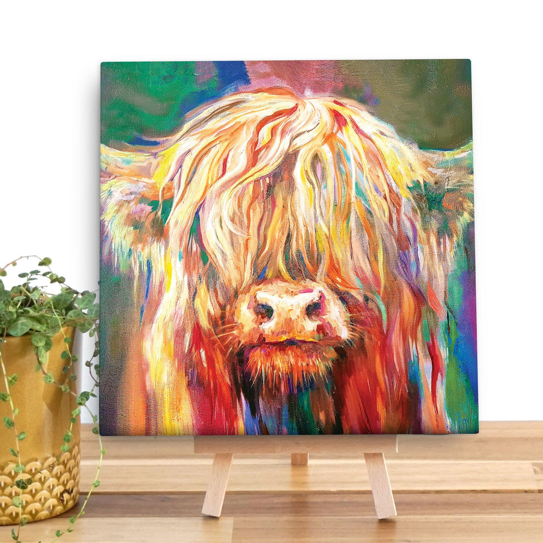 Highland Calf Mini Canvas