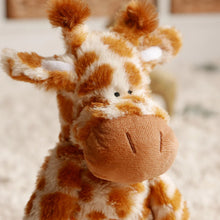Load image into Gallery viewer, Raffi the Giraffe cuddly toy
