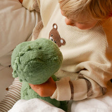 Load image into Gallery viewer, Wilf the Dinosaur cuddly toy
