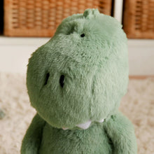 Load image into Gallery viewer, Wilf the Dinosaur cuddly toy
