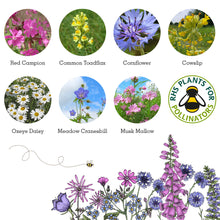 Load image into Gallery viewer, Seedball Mini-Meadow Bamboo Pots - Garden Meadow
