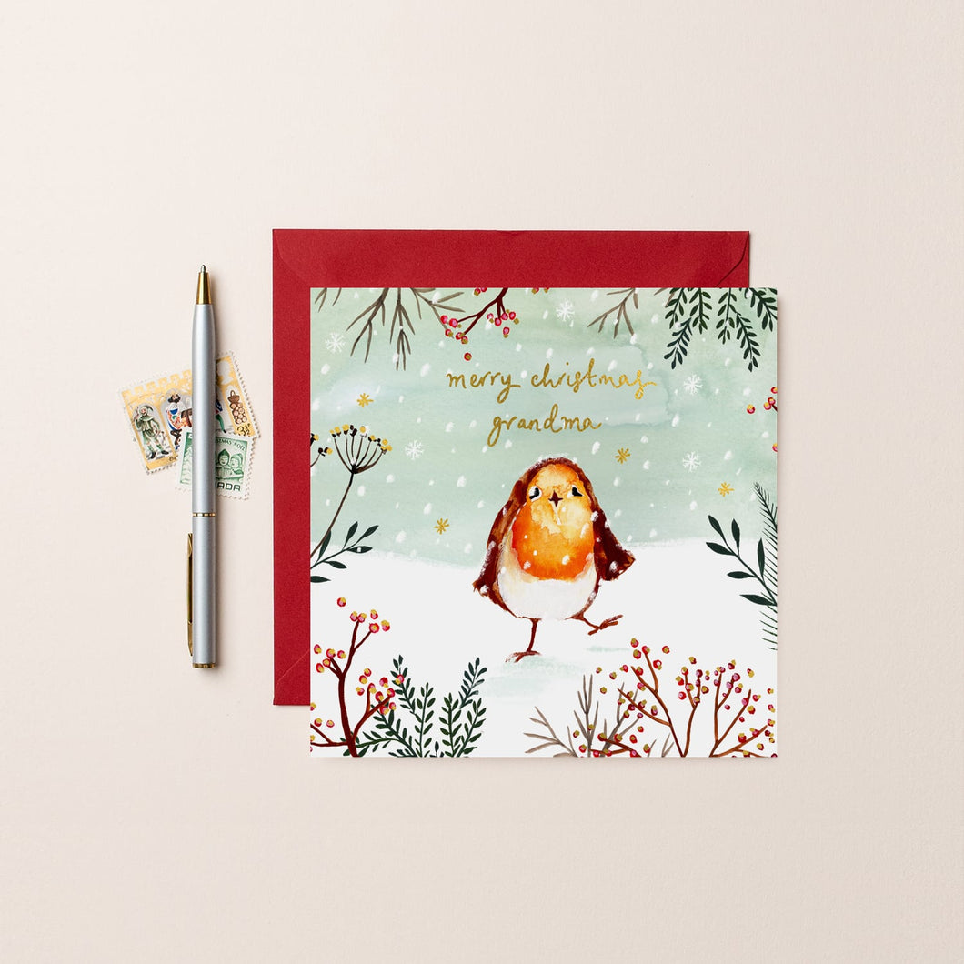 Grandma Robin Christmas Card