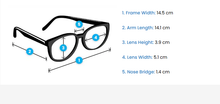 Load image into Gallery viewer, Gill Dapple Sunglasses with Polarised lenses
