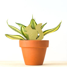 Load image into Gallery viewer, Plant Animal Squirrel, plant pot decoration in brass

