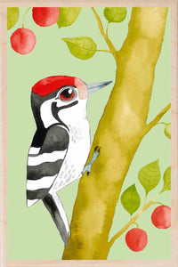 Lesser Spotted Woodpecker sustainable wooden postcard