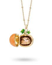 Load image into Gallery viewer, Hedgehog &amp; Pumpkin Locket
