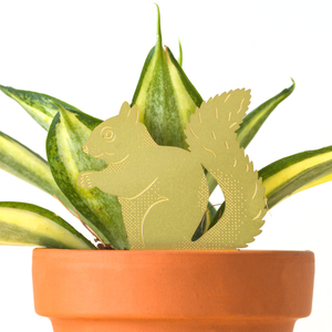 Plant Animal Squirrel, plant pot decoration in brass