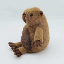 Load image into Gallery viewer, Capybara Small
