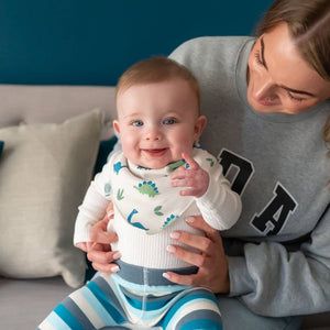 Dino print bib