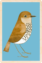 Load image into Gallery viewer, Song Thrush sustainable wooden postcard
