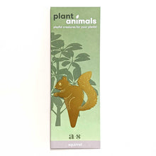 Load image into Gallery viewer, Plant Animal Squirrel, plant pot decoration in brass
