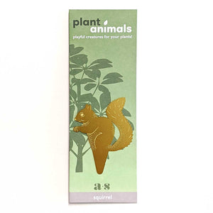 Plant Animal Squirrel, plant pot decoration in brass