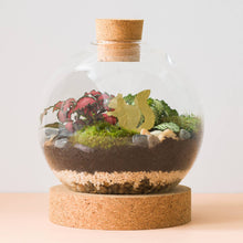 Load image into Gallery viewer, Plant Animal Squirrel, plant pot decoration in brass
