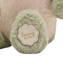 Load image into Gallery viewer, Tommy The Plush Green Dinosaur 30 cm
