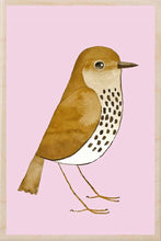 Load image into Gallery viewer, Song Thrush sustainable wooden postcard
