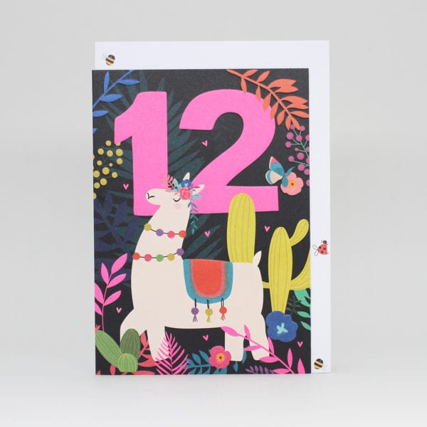 12 birthday llama
