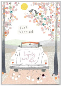 Just Married car