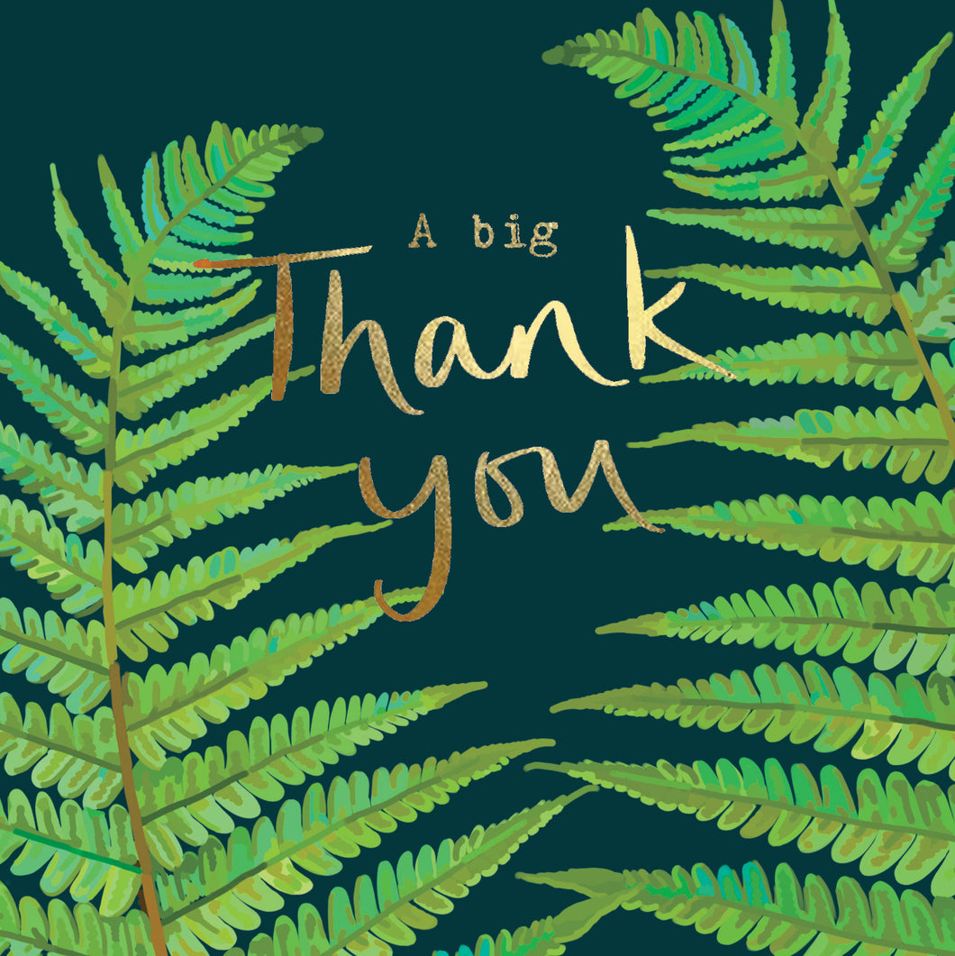 Thank you - Fern