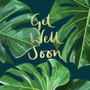 Get Well Soon Cheese Plant