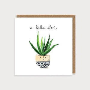 A Little Aloe