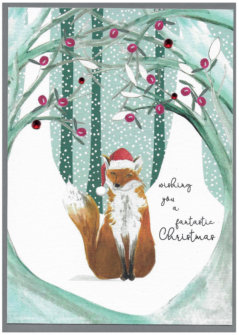 Wishing you a fantastic christmas, fox