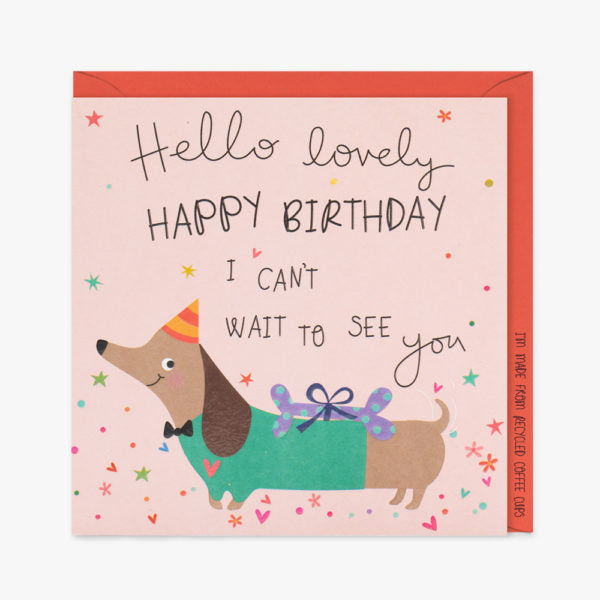 Happy Birthday sausage dog