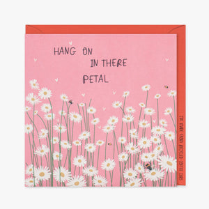Hang on in there Petal