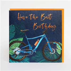 Have The Best Birthday - bicycle card