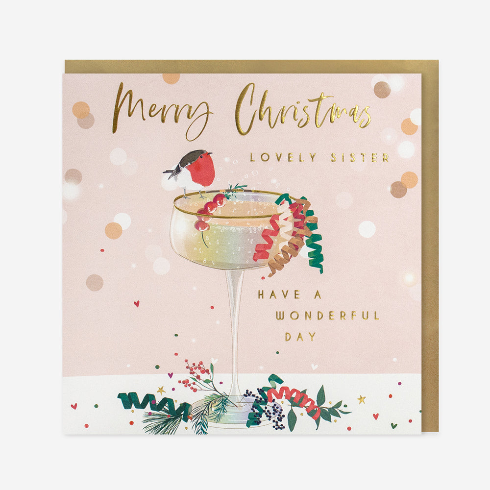 Luxury Christmas card Lovely Sister robin on glass